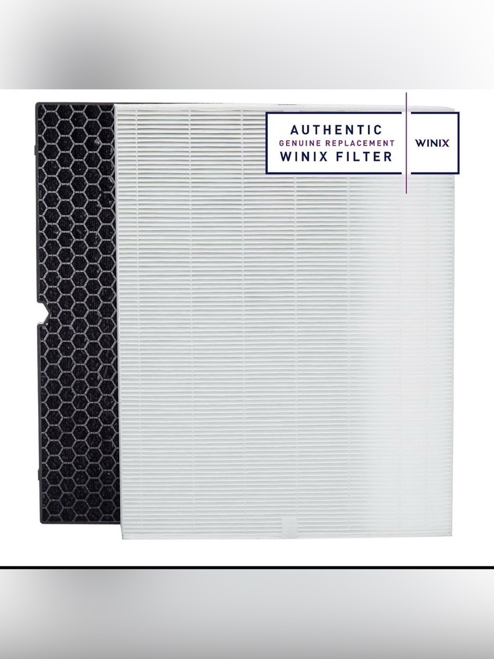 Genuine Winix 116130 Replacement Filter H for 5500-2 Air Purifier, White